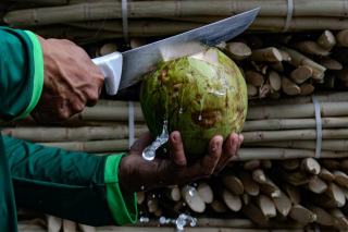Eau de coco : boisson rafraichissante et ses bienfaits santé